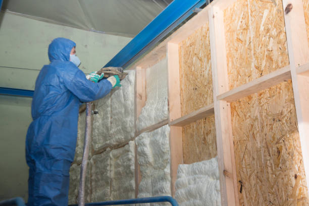 Best Insulation Replacement Services  in La Marque, TX