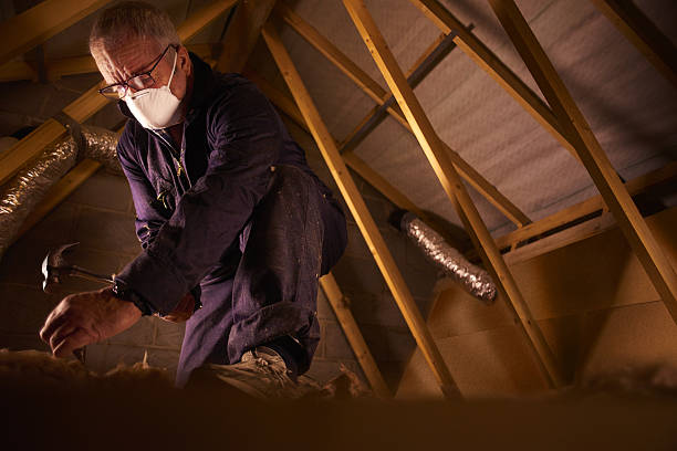 Best Wall Insulation Contractor  in La Marque, TX